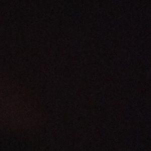 Meet your Posher, Zachary